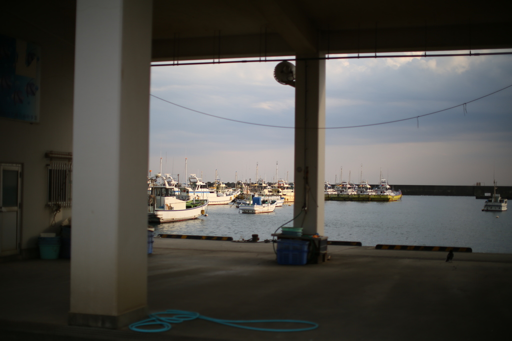 西日射す漁港にて