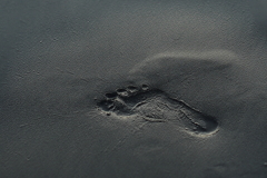 Strong Step