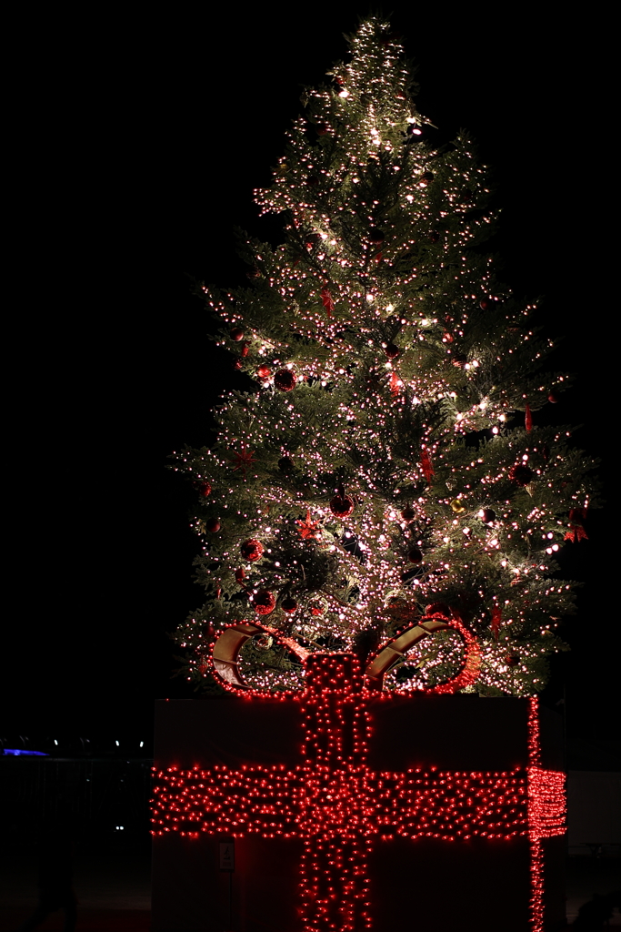 つりーにつられ。