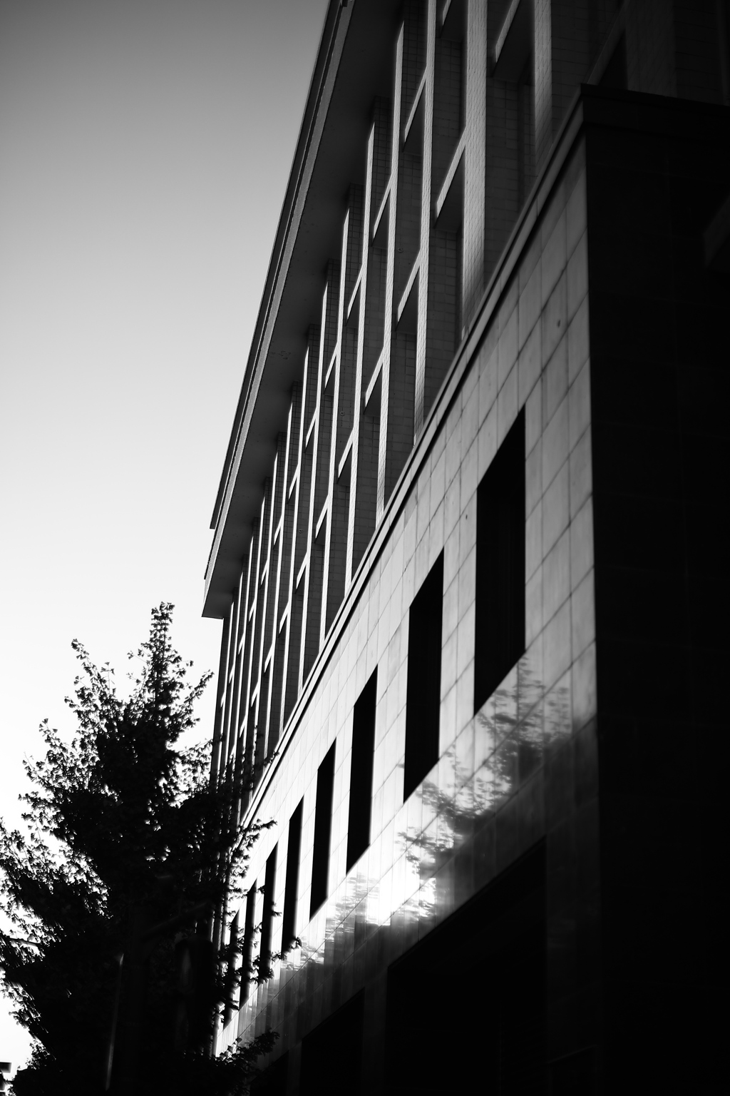 キョウト-スナップ昼の部（後半8