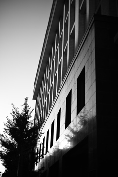 キョウト-スナップ昼の部（後半8