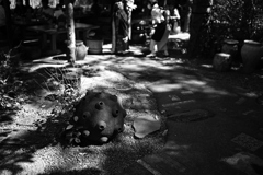 庭席でそばを。