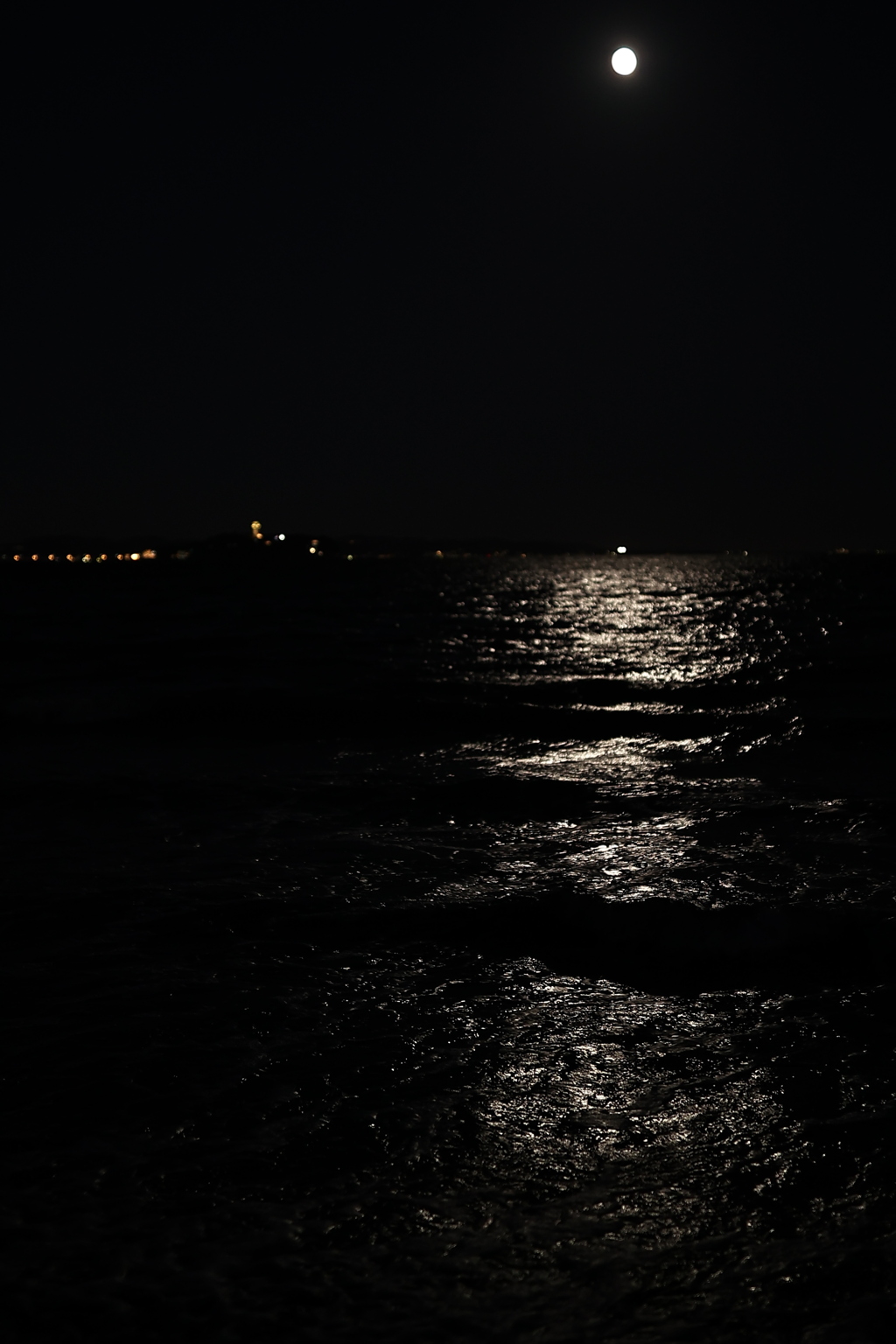 写真を撮って、どうしたいのか。