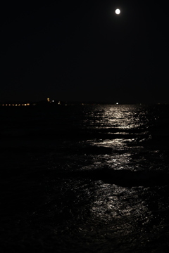 写真を撮って、どうしたいのか。