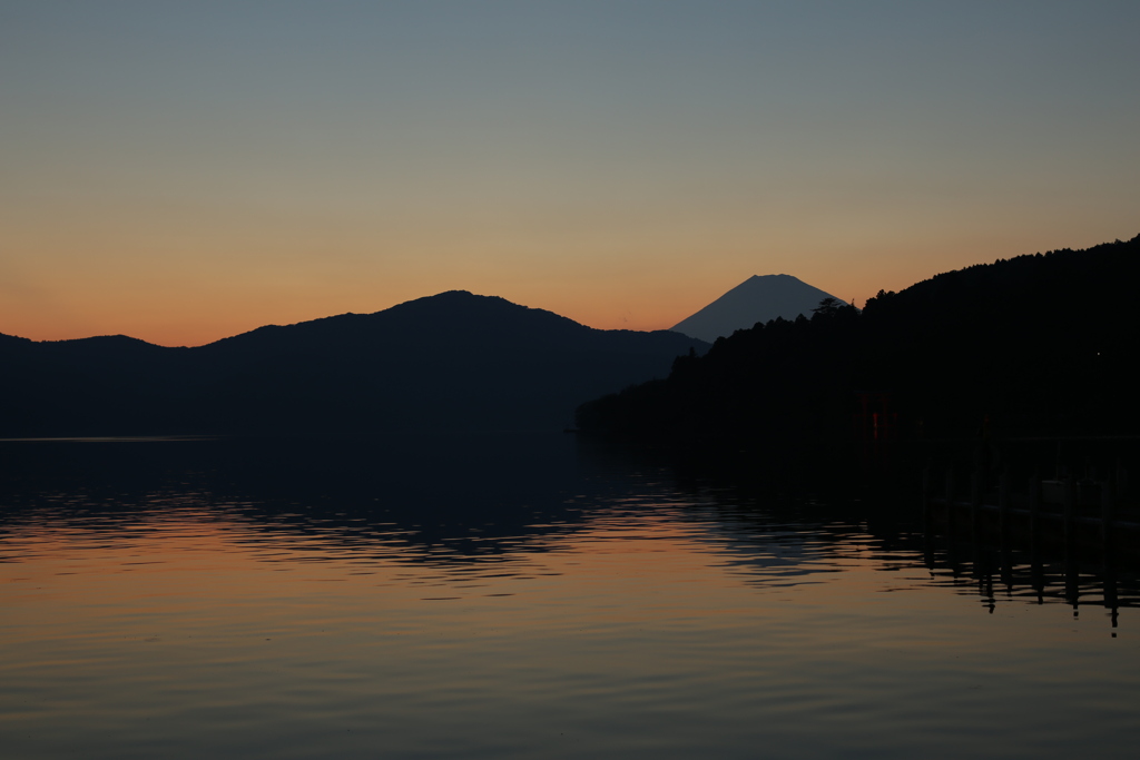 狙っていたもの