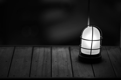 こいつばかり撮った。①