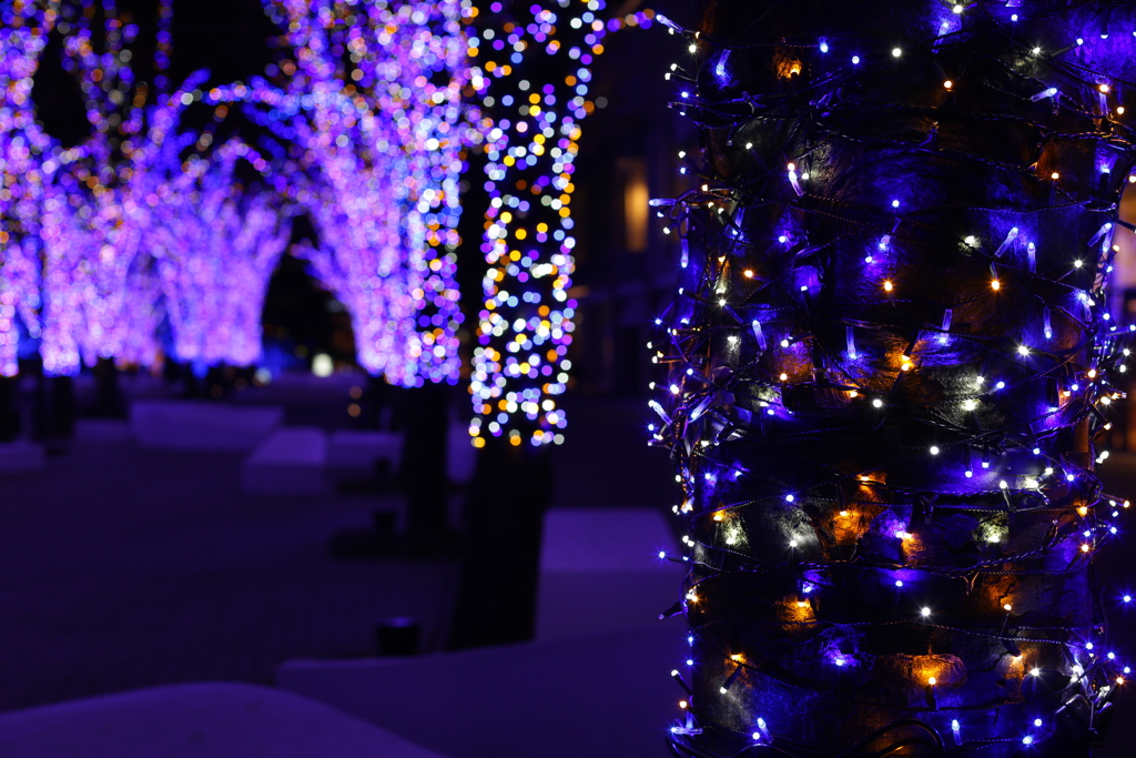 やはり50mmでした。。。