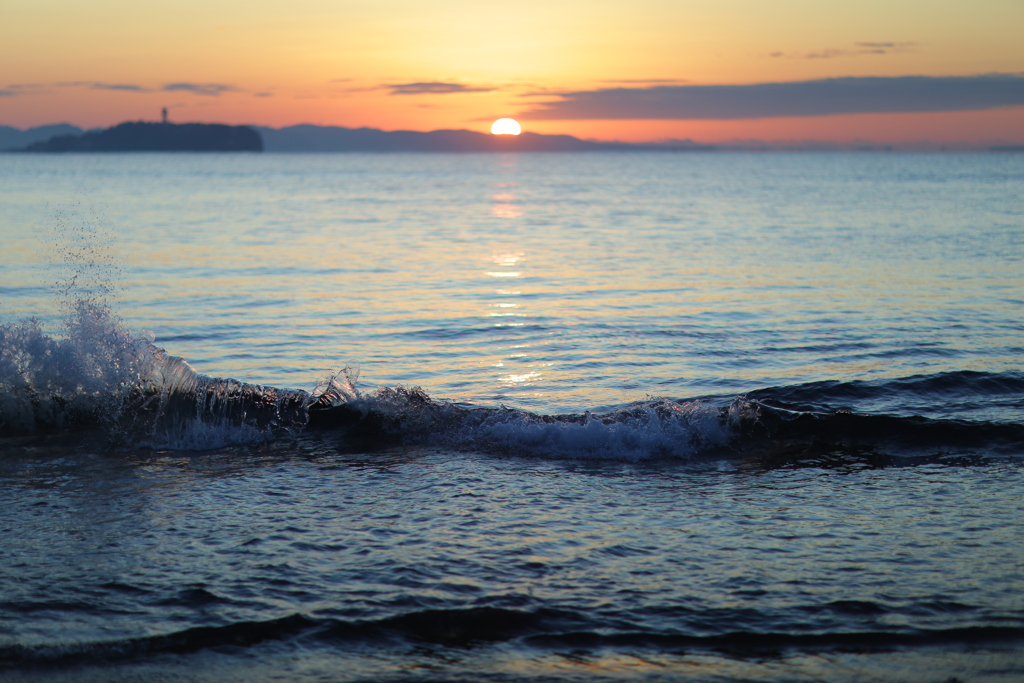 手前にフォーカス