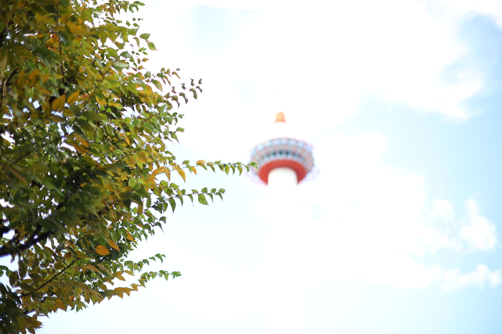 「おおきに。」を頂いた。
