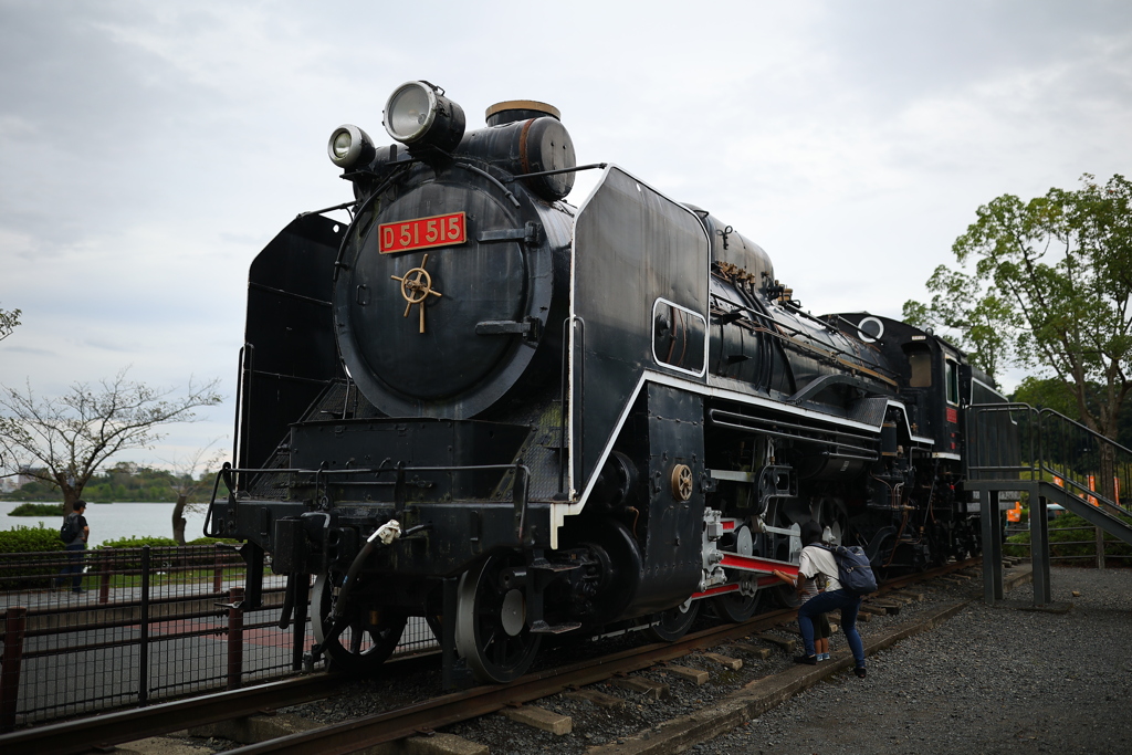 デゴイチがいた。