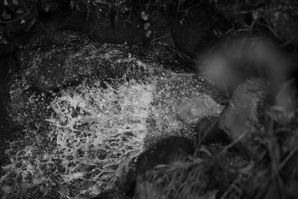 ピシッと止める