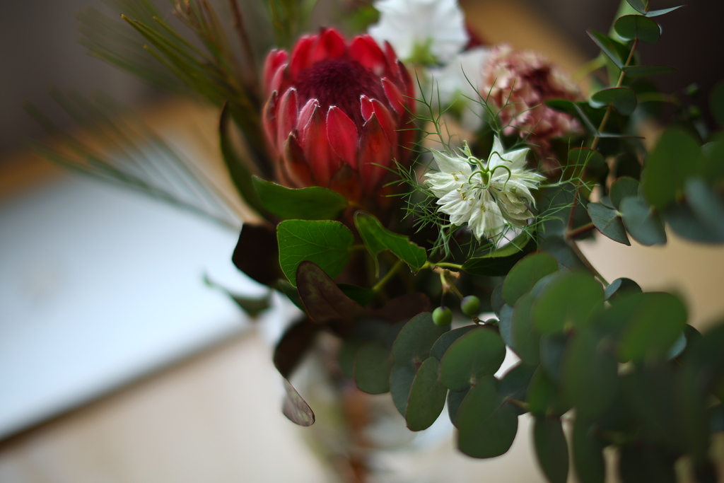 この花を撮って凄いんだからｗ