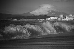 ハイブリッド