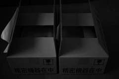 行っといで。