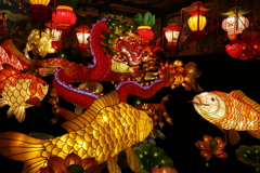 色と光があふれる