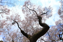 逞しき姿