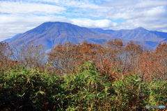 晩秋の黒姫山