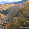 山あいを走る