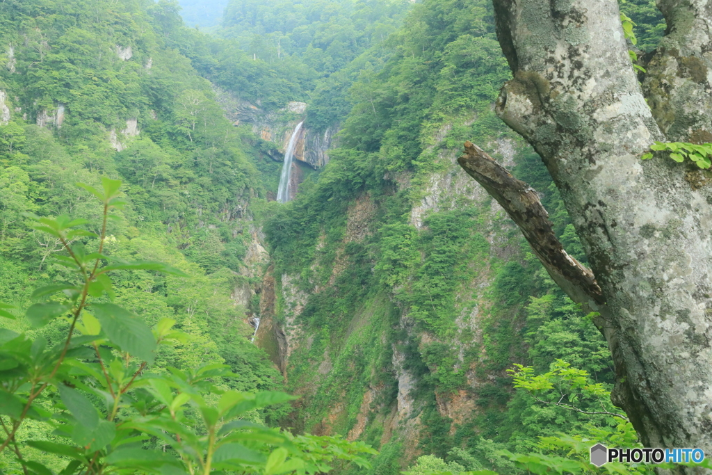 真夏の惣滝