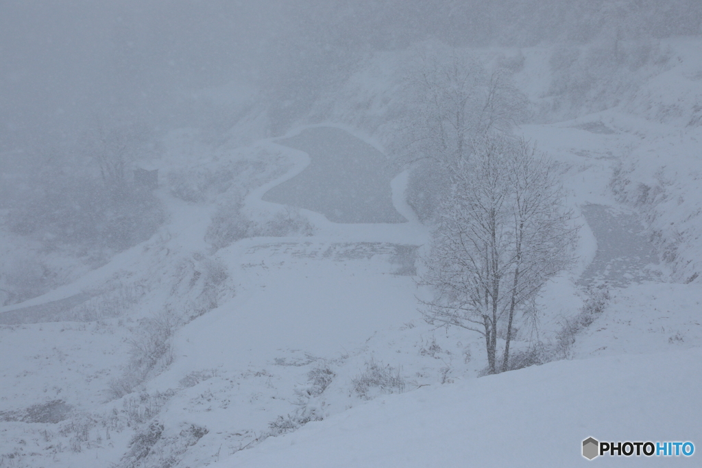 雪が深々と