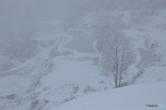 雪が深々と