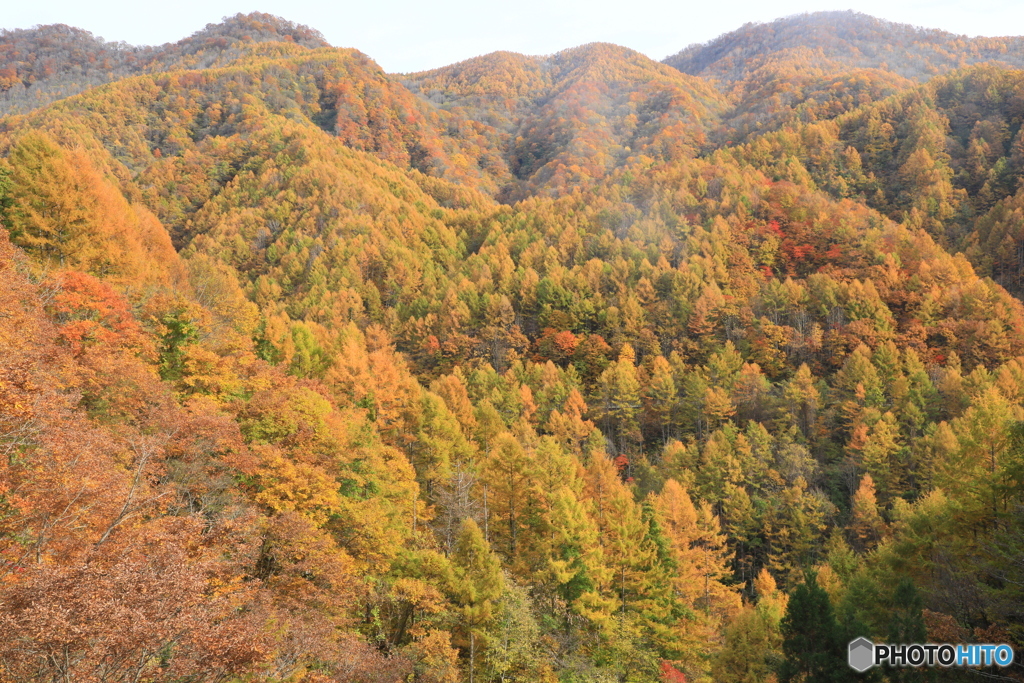 全山紅葉