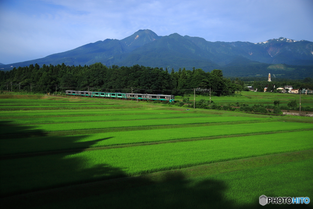 トラッピング電車