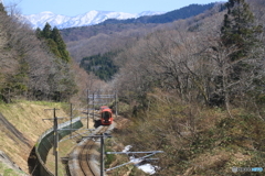 赤い雪月花がやって来た