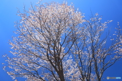 青空