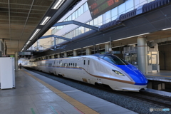 はくたか東京行き