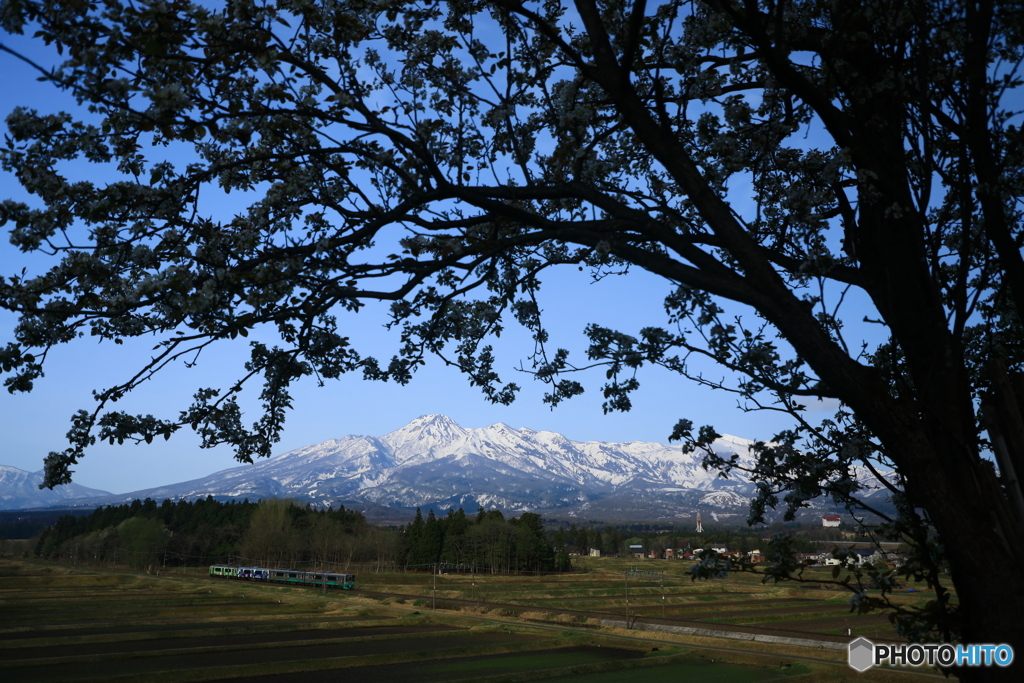 妙高山麗を走る