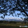 妙高山麗を走る