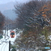 雪月花