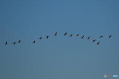 青空高く