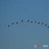 青空高く