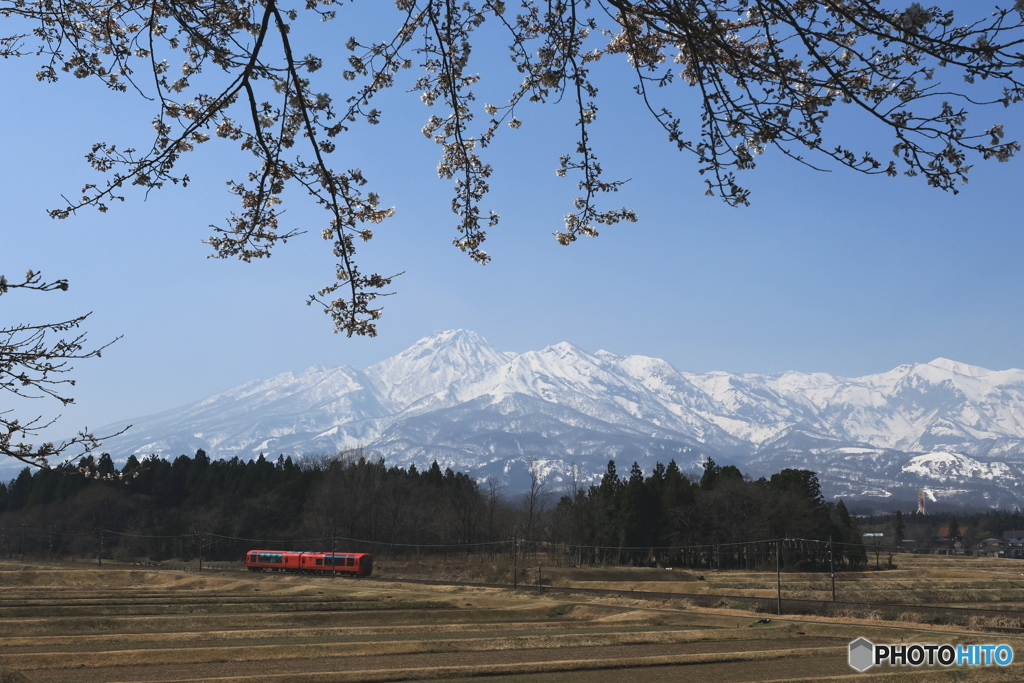 桜と雪月花