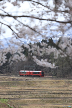 赤い電車