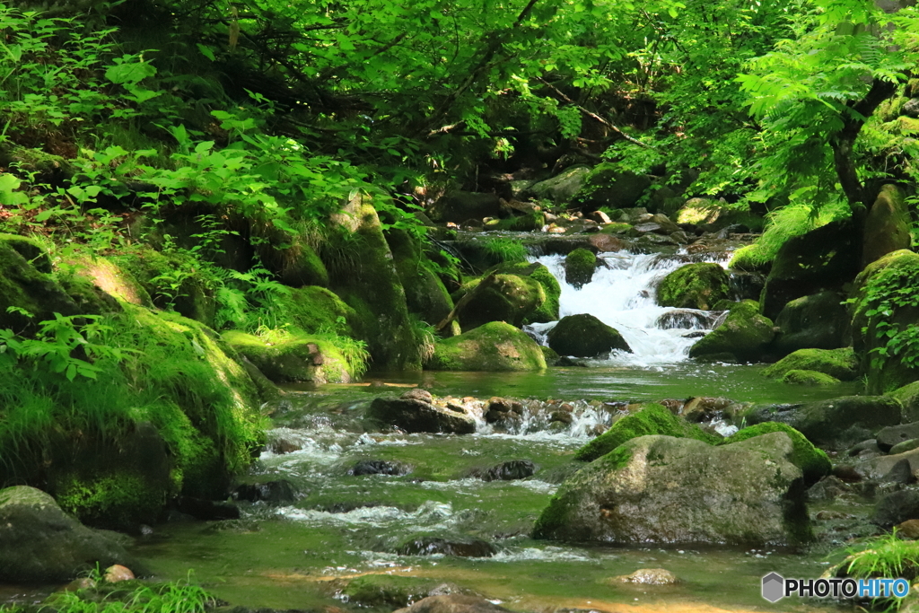 小川の囁き