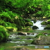小川の囁き