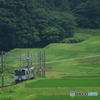 緑に染まって