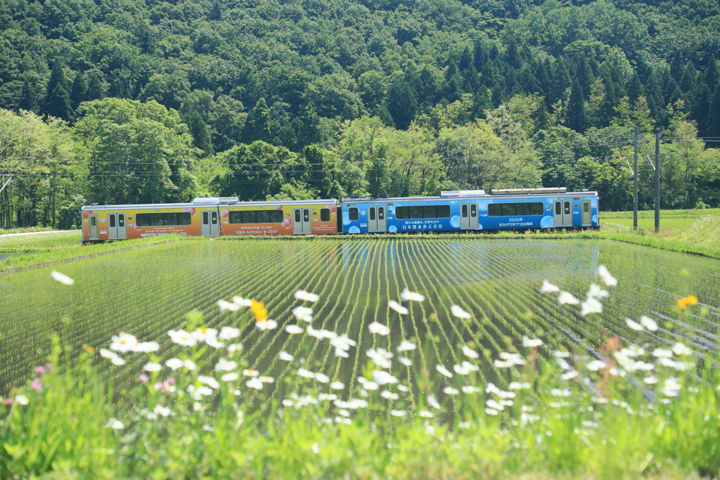 田園風景