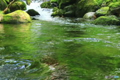 緑映のせせらぎ