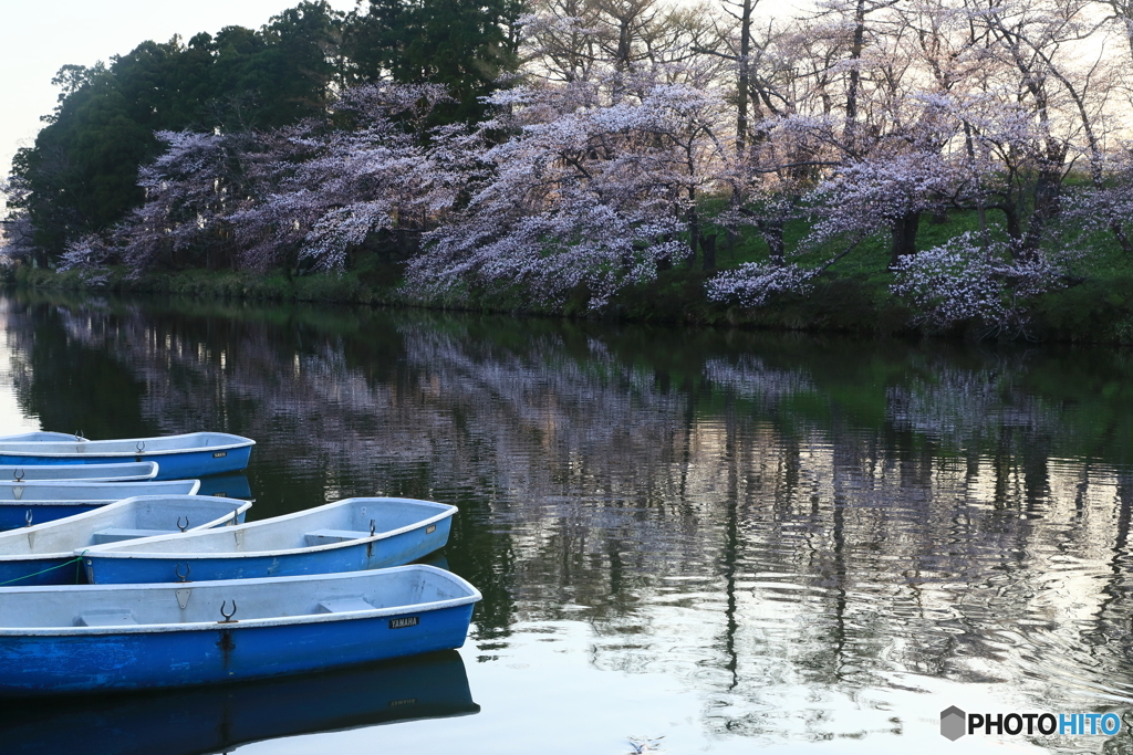 大堀公園