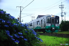 ローカル電車