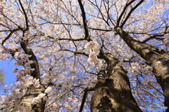青空の下で