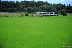 ときめき鉄道