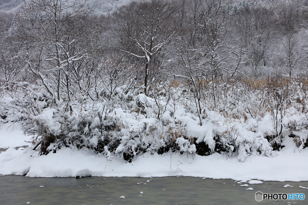 雪景色