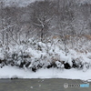 雪景色