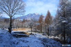 遠方に妙高山