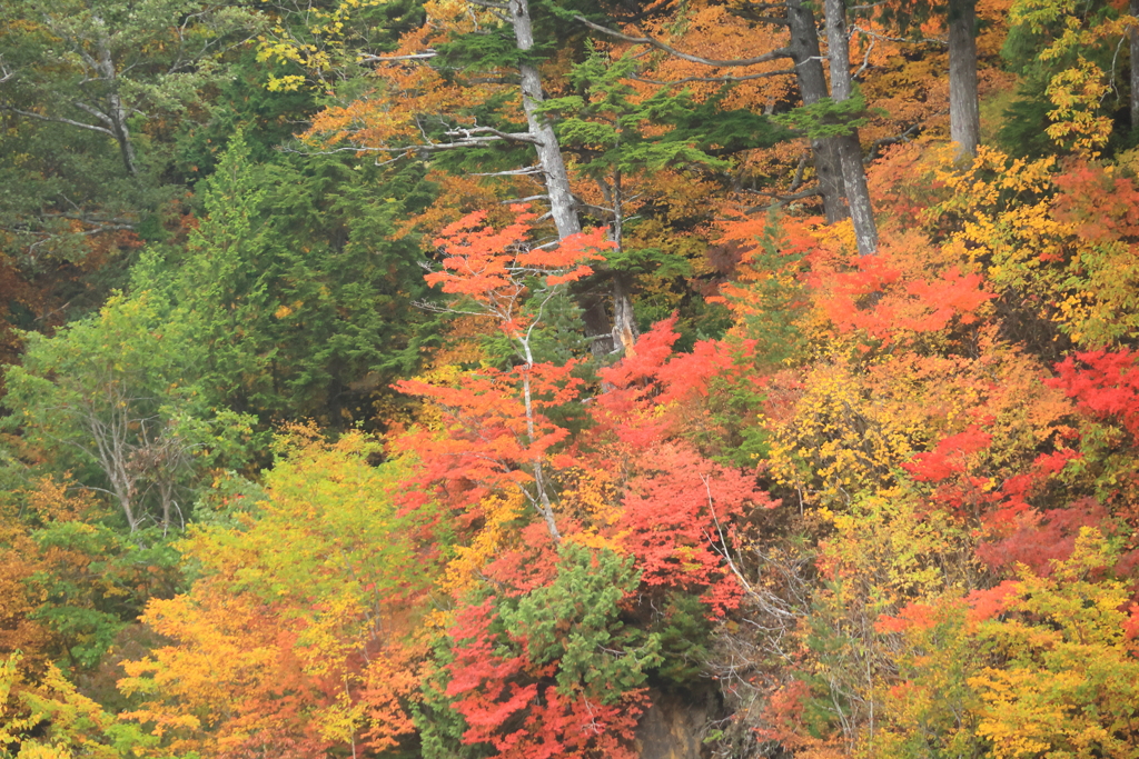 深紅に染まる